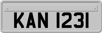KAN1231
