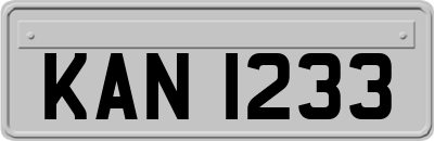 KAN1233