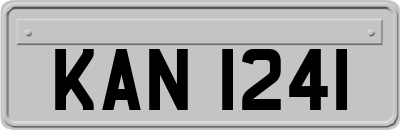 KAN1241