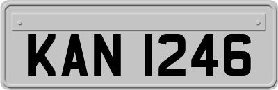 KAN1246