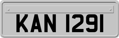 KAN1291