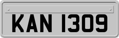 KAN1309