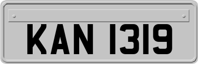 KAN1319