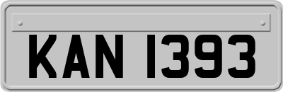 KAN1393