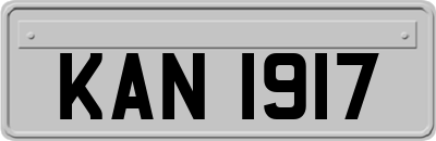 KAN1917