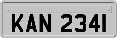 KAN2341