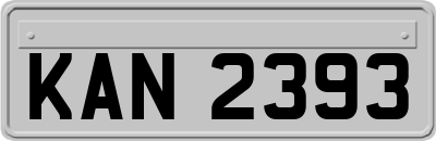 KAN2393