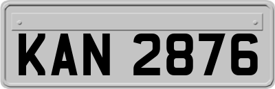 KAN2876