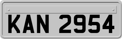 KAN2954