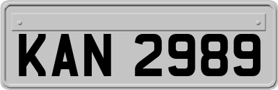 KAN2989