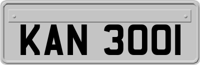 KAN3001