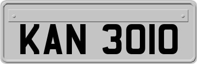 KAN3010