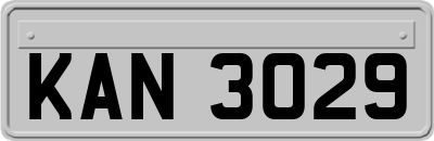 KAN3029