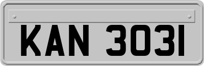 KAN3031
