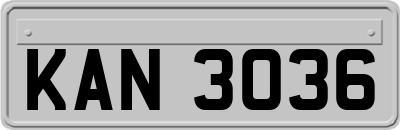 KAN3036
