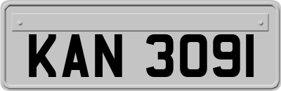 KAN3091