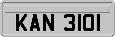 KAN3101