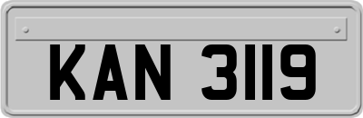 KAN3119