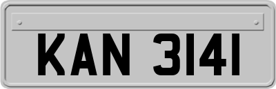 KAN3141