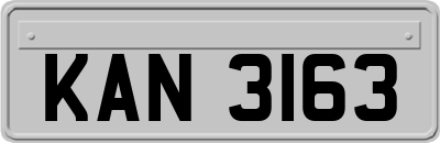 KAN3163