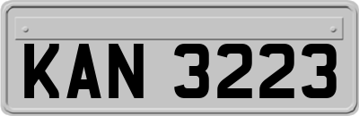 KAN3223