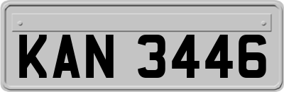 KAN3446
