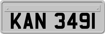KAN3491