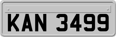 KAN3499
