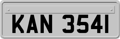 KAN3541
