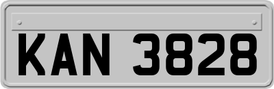 KAN3828