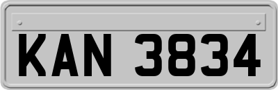 KAN3834