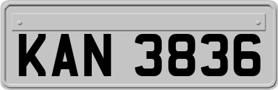 KAN3836