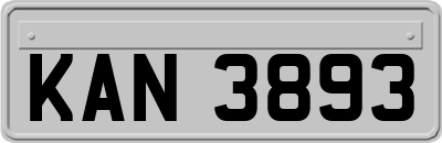 KAN3893