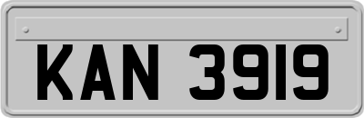 KAN3919