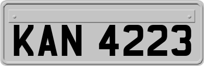 KAN4223