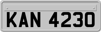 KAN4230