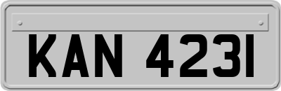 KAN4231