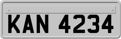 KAN4234