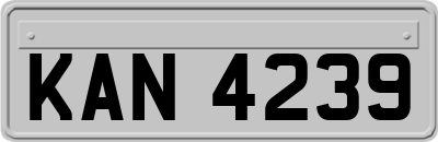 KAN4239