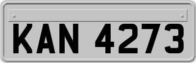 KAN4273
