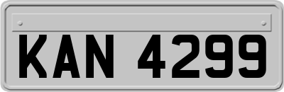 KAN4299