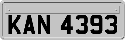 KAN4393