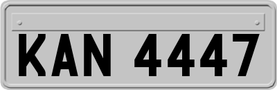KAN4447