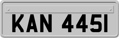 KAN4451