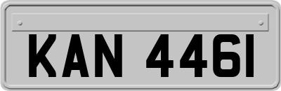 KAN4461