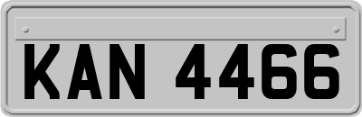 KAN4466