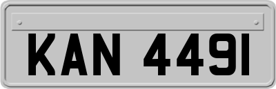 KAN4491
