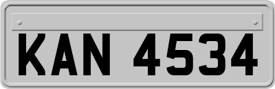 KAN4534
