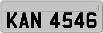 KAN4546