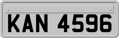 KAN4596
